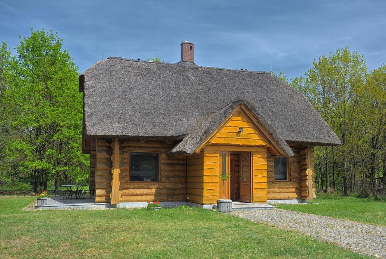 Dom Pod Sosnami Villa Gryżyna Eksteriør billede