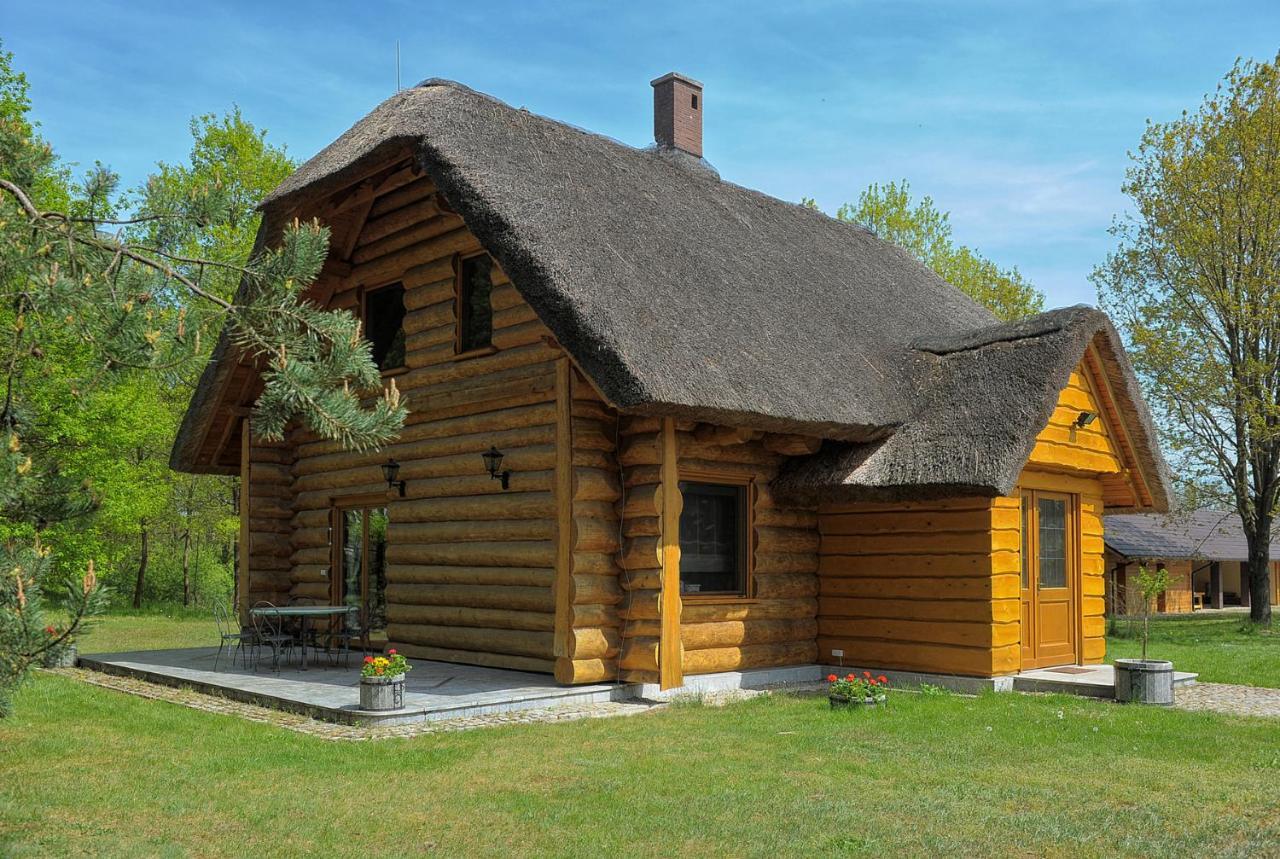 Dom Pod Sosnami Villa Gryżyna Eksteriør billede