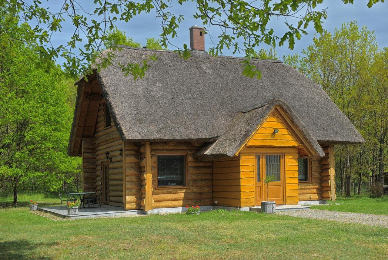 Dom Pod Sosnami Villa Gryżyna Eksteriør billede