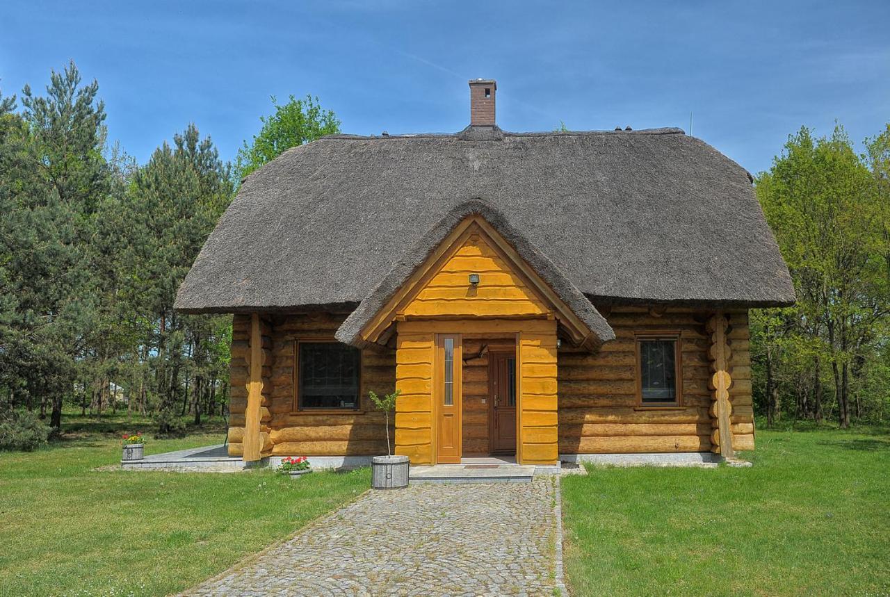 Dom Pod Sosnami Villa Gryżyna Eksteriør billede