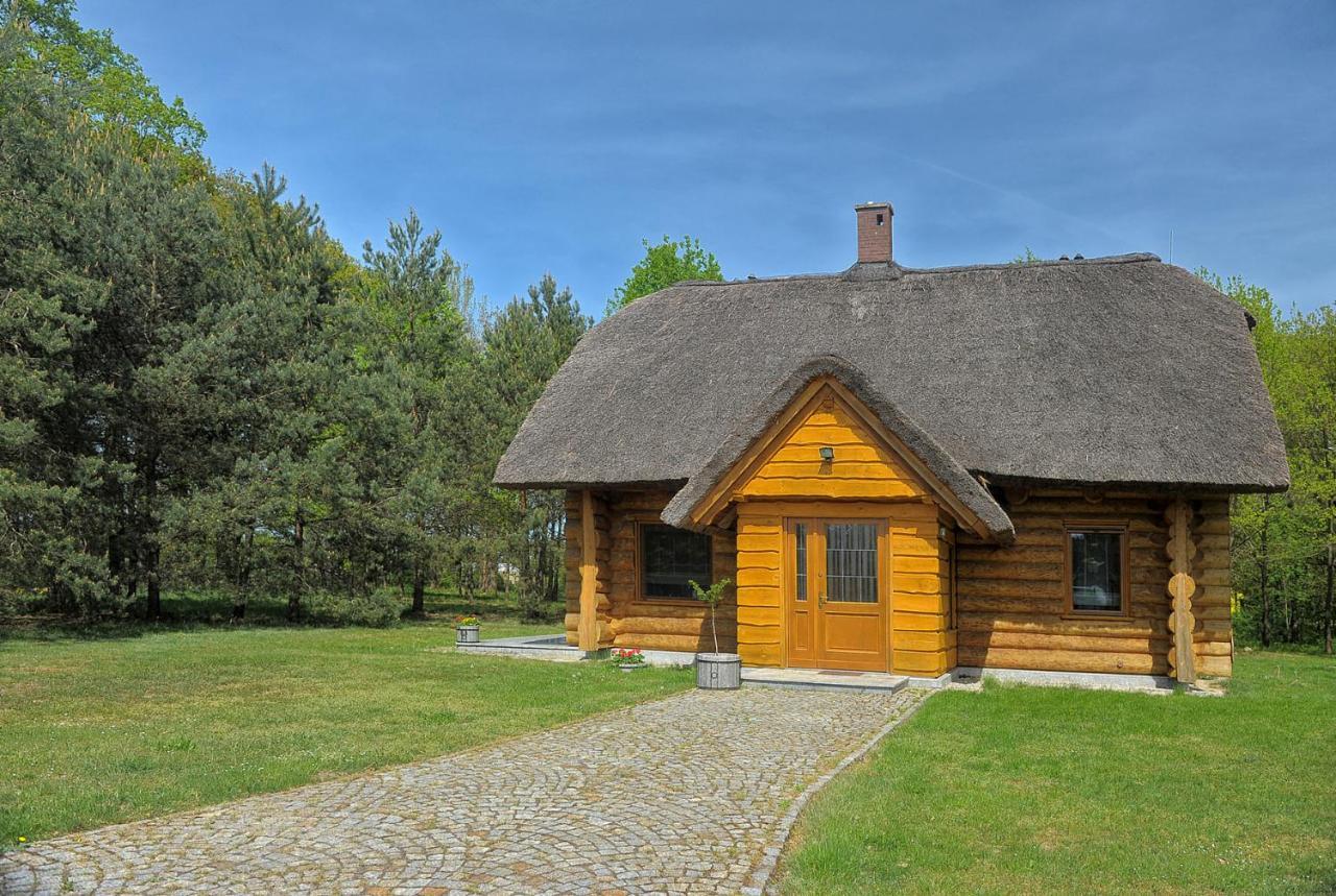 Dom Pod Sosnami Villa Gryżyna Eksteriør billede